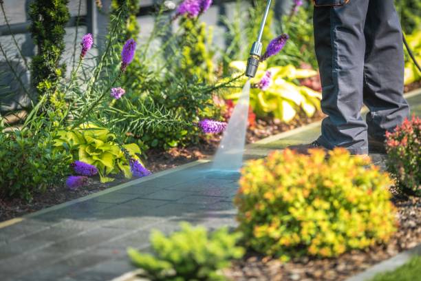 Reliable Moorefield, WV  Pressure Washing Services Solutions